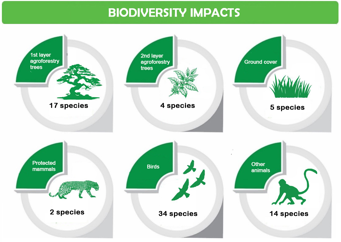 biodiversity impacts agro 1 jpg